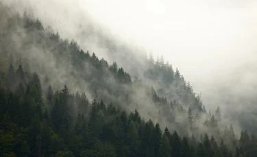 В Казахстане ухудшится погода — ожидаются дожди и туманы