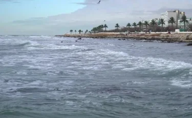 В Казахстане создадут Единую цифровую платформу водных ресурсов