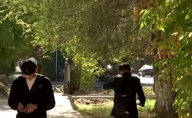 Сезонное бедствие: мошкара не даёт покоя жителям Актобе