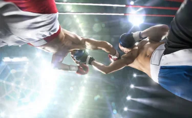 Алимханулы — Кроуфорд: возможно ли проведение супербоя