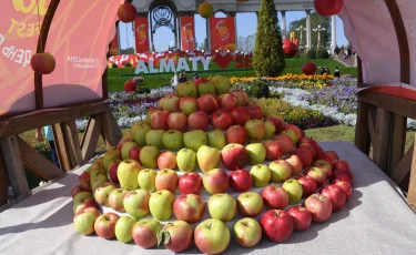 Жүз тонна алма, жұлдыздар өнері және қызықты ойындар: Қала күнінде Alma Fest фестивалі өтеді
