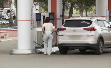 Жанармай бағасы өсті: сарапшылар пікірі қандай