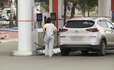 Жанармай бағасы өсті: сарапшылар пікірі қандай