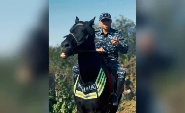 Седло вместо руля: в Казахстане патрулирует конная полиция