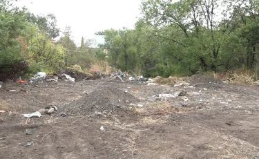 Мал өлексесі де тасталады: Талғардағы ауыл тұрғындары мүңкіген иіске тұншығып отыр