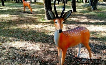 Погода в Алматы с 29 сентября по 5 октября 2025