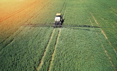 Развитие агроэкономики в Казахстане: план, инвестиции и инновации