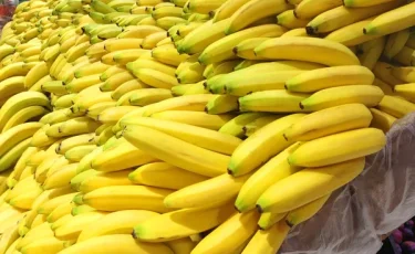 Груз с секретом: в бананах из Эквадора нашли 1,5 тонны кокаина