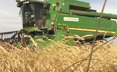 Қазақстанда 9 млн тоннаға жуық астық бастырылды