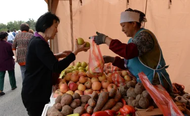 Алматыда ауыл шаруашылығы жәрмеңкесінде 500 тоннадан астам өнім ұсынылады