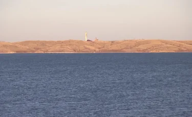 Чиновники из области Абай незаконно распределили свыше 30 субсидий