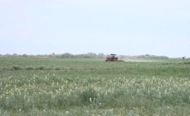 Впервые за годы независимости ВКО делает масштабную ставку на водосбережение