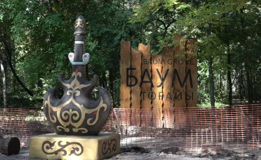 В роще Баума планируется создать современную и безопасную зону отдыха для горожан