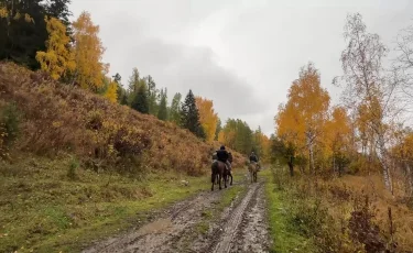"Туризм мен бизнестің дамуын тежеп отыр": Марқакөлге апаратын жол сын көтермейді