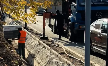 Алматыда буферлік аймақтарды кешенді көркейту жобасы жүзеге асырылып жатыр