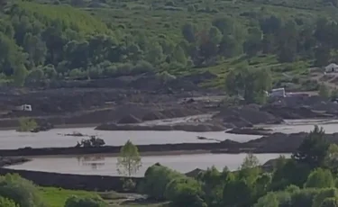 Бизнес на золоте: как чиновник устроил нелегальный прииск