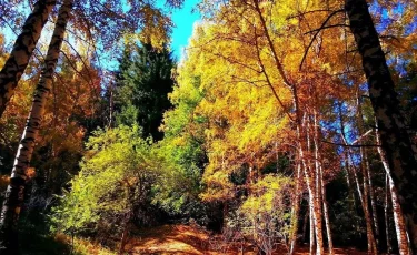 От - 12 до +28°С: какая погода ждет казахстанцев в октябре 2025