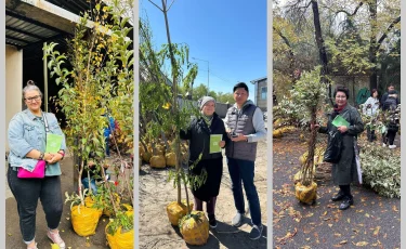 В Алматы стартовала акция «Зеленый двор»