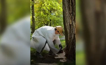 В Алматы продолжается санитарная кампания по защите города от грызунов