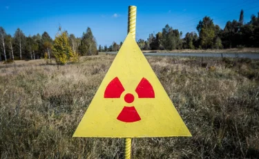 Невероятно, но факт: в Чернобыле появились собаки синего цвета (видео)