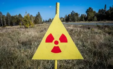 Невероятно, но факт: в Чернобыле появились собаки синего цвета (видео)