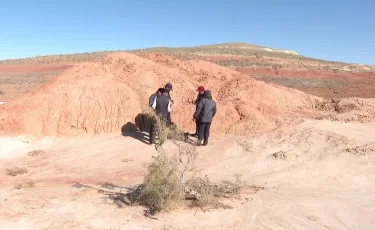 Сыр өңірінде ежелгі дәуірде тіршілік еткен алып мақұлықтың сүйегі табылды