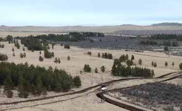 Трагедия на рабочем месте: в Акмолинской области на территории лесхоза погиб мужчина