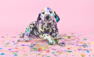 4 октября мир отмечает Международный день защиты животных