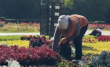 В Алматы начались осенние работы по благоустройству и подготовке цветников к зиме