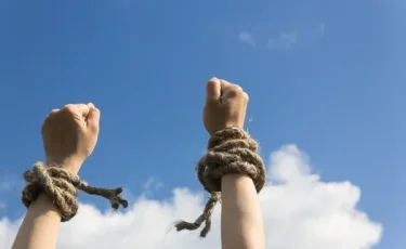 Масштабная амнистия: сколько людей обрели свободу к юбилею Конституции