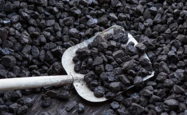 Көмір бағасының тұрақты болуын бақылау керек — Премьер-министр