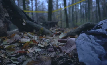 Жуткая находка: в Петропавловске за остановкой обнаружили тело женщины