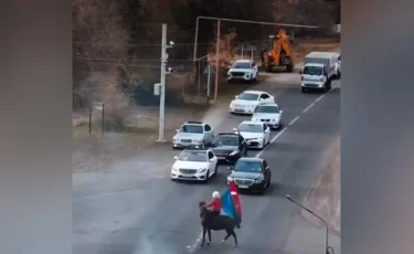 Алматы облысында жол ережелерін өрескел бұзып, маңызды автожолды жапқандар жазаланды