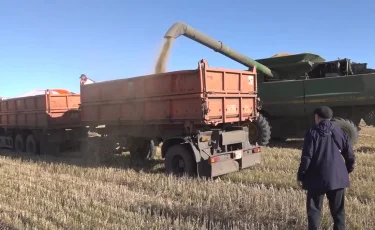 Қазақстанда 26 млн тоннадан астам астық жиналды