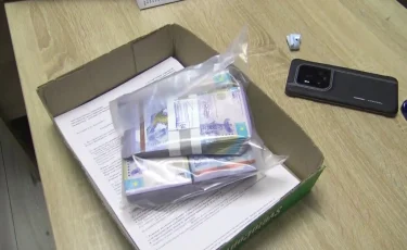 Заработал миллионы: казахстанца осудили за незаконную организацию онлайн-казино