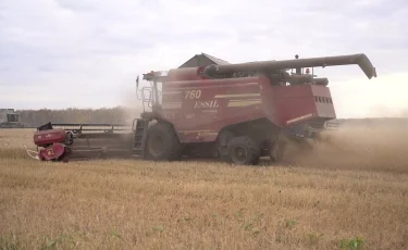 Качество хромает: в СКО аграрии жалуются на замерзающее при небольших заморозках дизтопливо