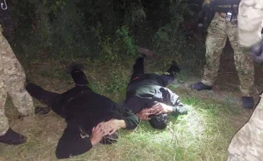 Крали, забивали и продавали мясо: в ВКО задержали скотокрадов