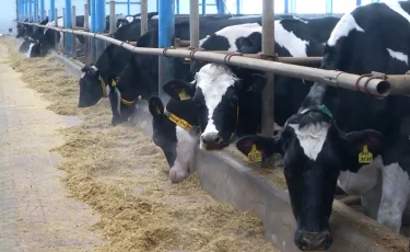 Электронный АПК на базе искусственного интеллекта создадут в помощь фермерам