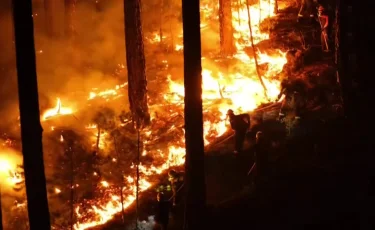 Павлодар облысында үй өртеніп, 6 адам қаза болды