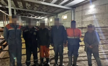 В Карагандинской области выявлены сотни нарушений миграционного законодательства