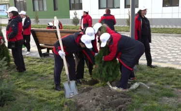 Дню Республики посвящается: в одной из школ мегаполиса высадили 35 деревьев