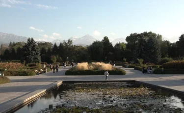 Ботанический сад: как в Алматы экзотические растения готовят к зимовке