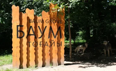 Баум тоғайында абаттандыру жұмыстары аясында бірде-бір ағаш кесілмейді