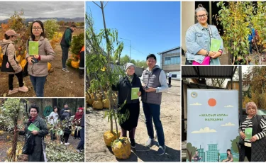 Алматыда «Жасыл аула» науқаны басталды