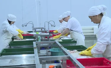 Арал өңірінде жаңа зауыт іске қосылды