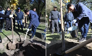 Дархан Сатыбалды «Таза Қазақстан» бағдарламасы аясында ағаш отырғызуға қатысты