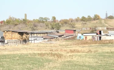 В Алматинской области собственникам земельных участков запрещают строить дома
