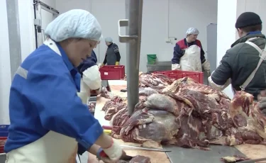 Елімізде өңірлерге арзан сиыр еті жеткізілмек