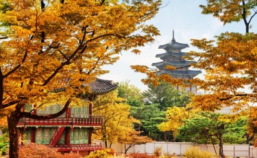 Обещала и не сделала: в Астане полиция задержала "визовую" мошенницу