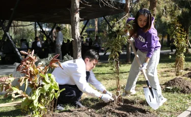 Алматылықтар сенбілік аясында мыңнан астам ағаш егіп, қаланы қоқыстан тазартты